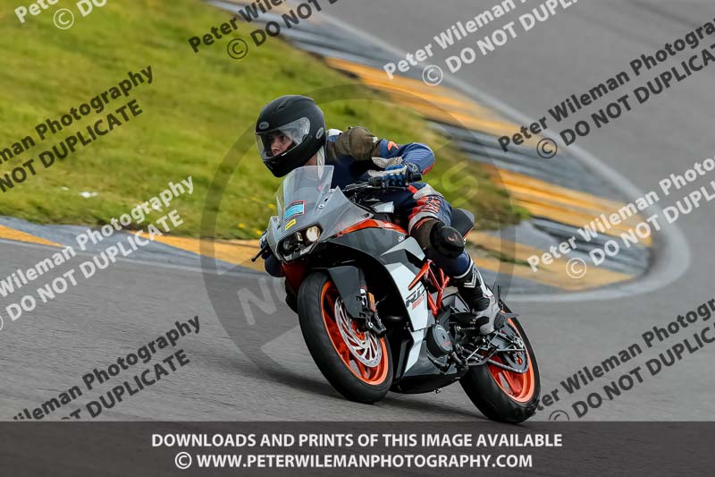 PJ Motorsport 2019;anglesey no limits trackday;anglesey photographs;anglesey trackday photographs;enduro digital images;event digital images;eventdigitalimages;no limits trackdays;peter wileman photography;racing digital images;trac mon;trackday digital images;trackday photos;ty croes